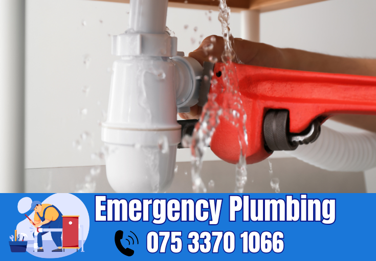  plumber Rusthall
