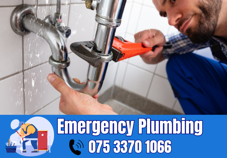  plumber Pembury