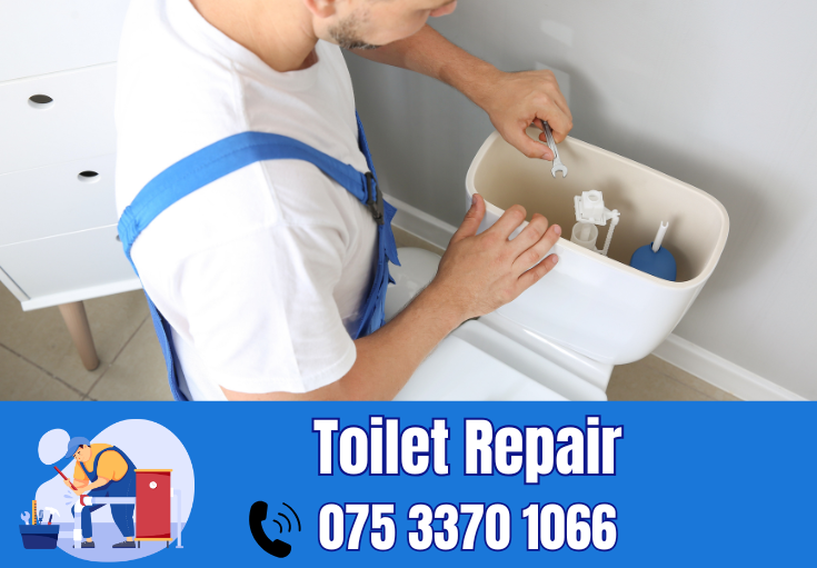 toilet repair Tunbridge Wells